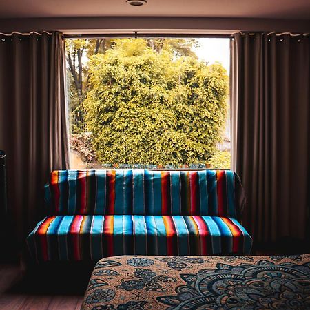 Suites Cuija Coyoacan 멕시코 시 외부 사진
