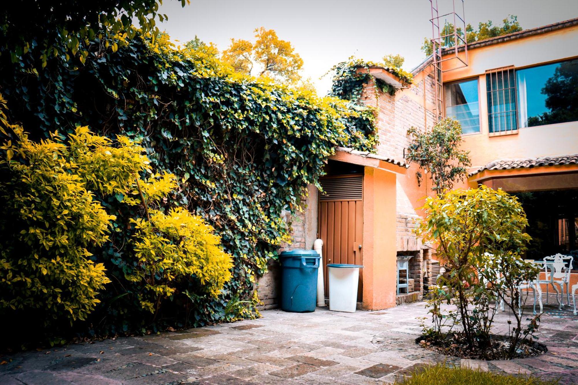 Suites Cuija Coyoacan 멕시코 시 외부 사진